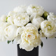 Fleurs - Bouquet de pivoines blanches