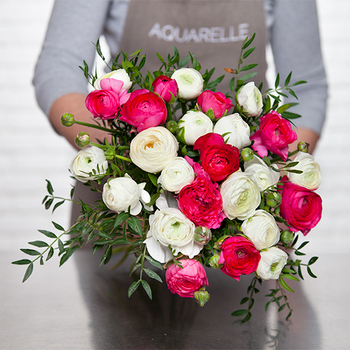 Beautiful Ranunculus