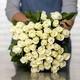 Pure White Rose Bouquet 