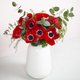 Red anemones