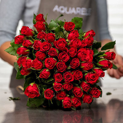 Bouquet de roses rouges | Livraison de roses rouges | Aquarelle