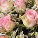 Lovely Jewel rozen