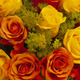 Oranges and Lemons Rose Bouquet