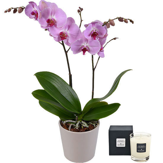 Roze orchidee en geurende kaars