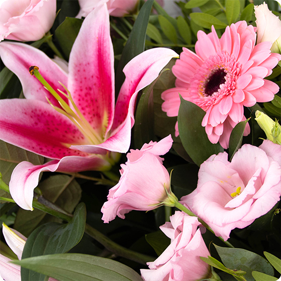 Saphir - Handgebonden rouwschoof 3