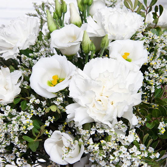 Spring freshness 3