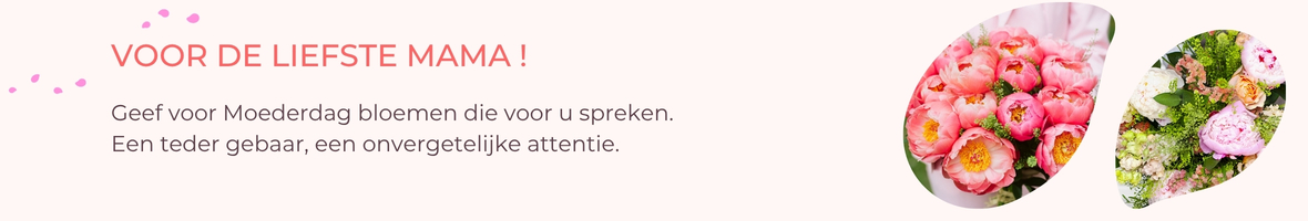 Geef voor Moederdag bloemen die voor u spreken