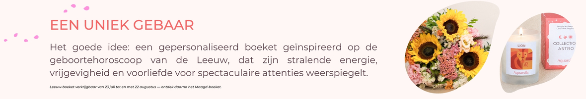 Collectie verjaardagscadeaus