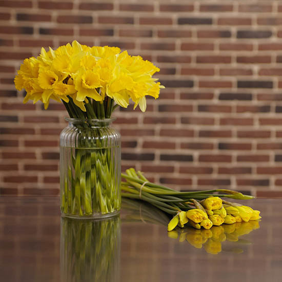 Harlequin Bouquet of roses + 30 jonquils 3