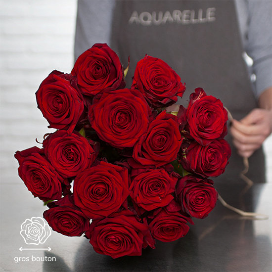 Tall Red Roses 2