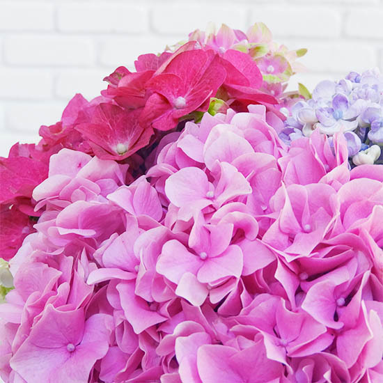 Boeket met Hortensia's 2