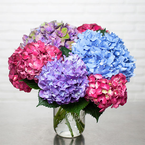 Boeket met Hortensia's 2
