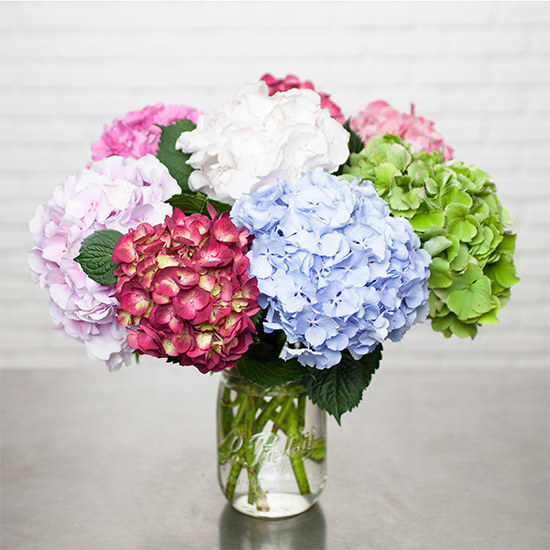 Boeket met Hortensia's 3