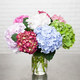 Boeket met Hortensia's