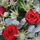Red Roses and Winter Foliage
