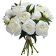 Exceptional White Peonies