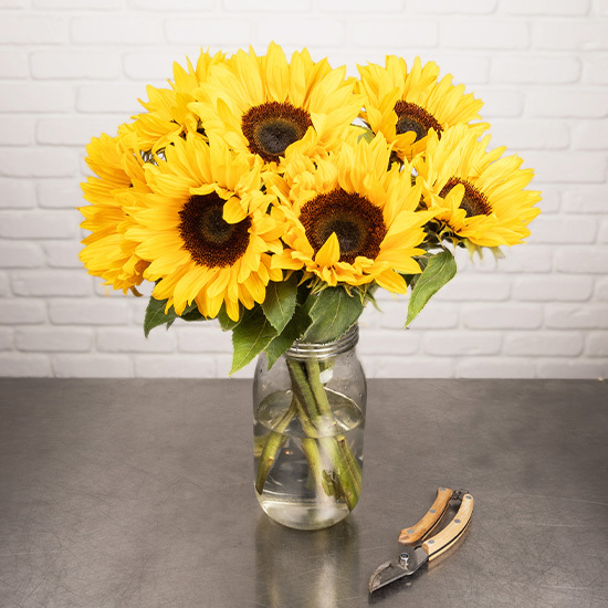 Golden Sunflower Bunch 2