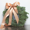  Bare fir wreath