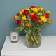 Bouquet of vibrant ranunculus