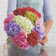 Hydrangea bouquet