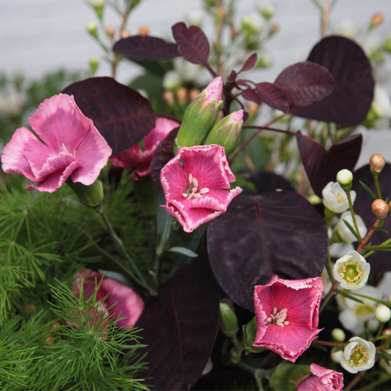 Herfstbloemen 3
