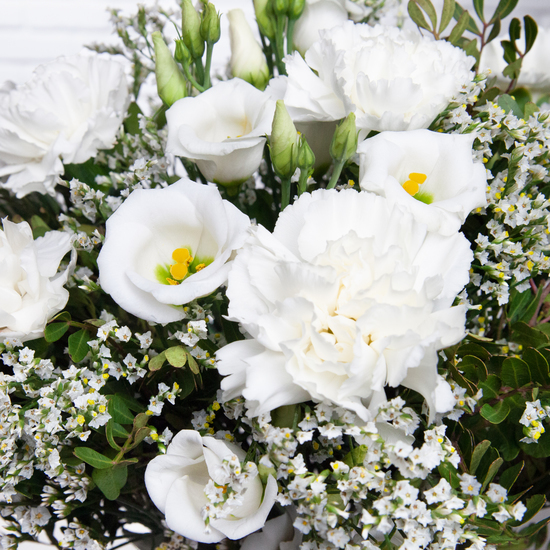 Lente frisheid 3