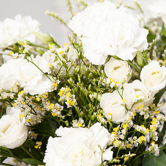 Lente frisheid 3