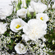 Lente frisheid 3