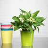 Lily-of-the-valley in a colored vase