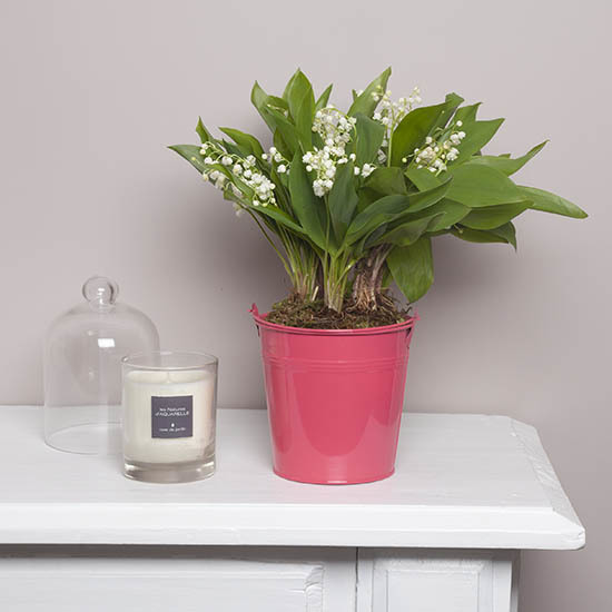 Lily-of-the-valley in a pink vase 3