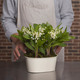 Lily-of-the-valley Planter