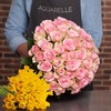 Lovely Jewel rozen + 30 Narcissen