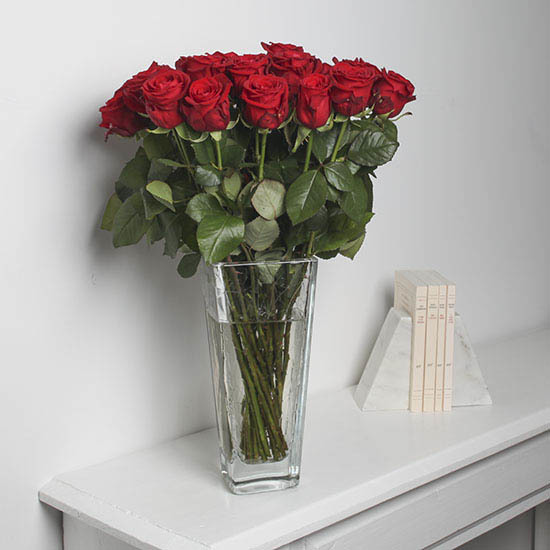 Magnificent Red Roses 3
