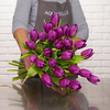 Bouquet of purple tulips