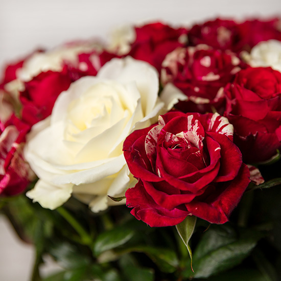 A Passion for Roses bouquet 2