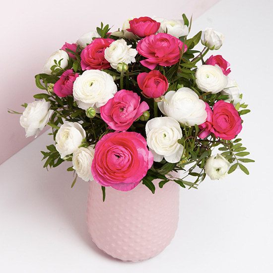 Beautiful Ranunculus 3