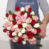 Marvellous roses 