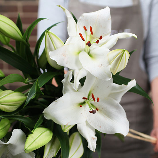 Perfumed white lilies 2