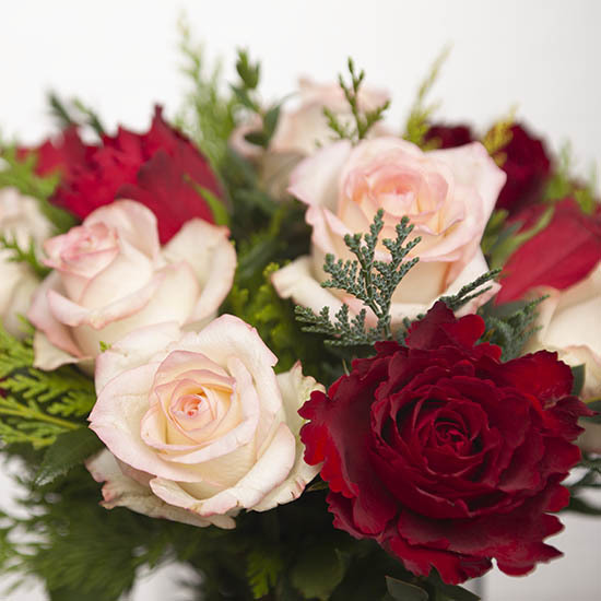 Winterse Rozen 2