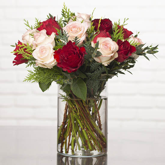 Winterse Rozen 3