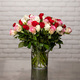 30 prachtvolle Rosen