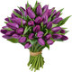 Bouquet of Purple Prince tulips