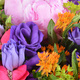 Festival of Colours Bouquet