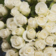 Pure White Rose bouquet 