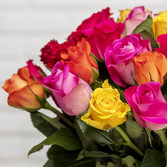 Harlequin Bouquet of roses 2