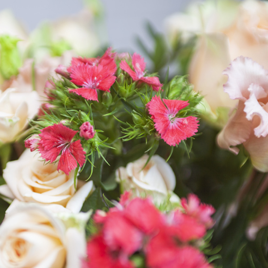 Bright Bouquet 2