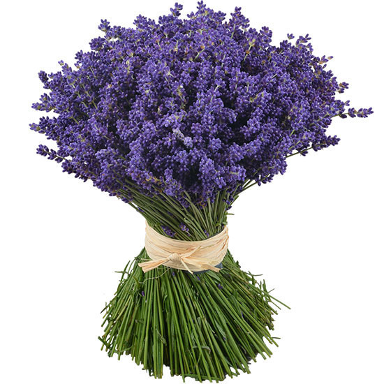 Lavendel aus der Provence