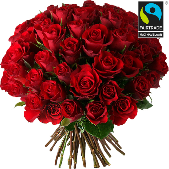 Red Velvet bouquet of red roses