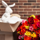 Mehrfarbige Rosen und ein plüsches Kaninchen