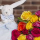 Harlequin bouquet and cuddly rabbit